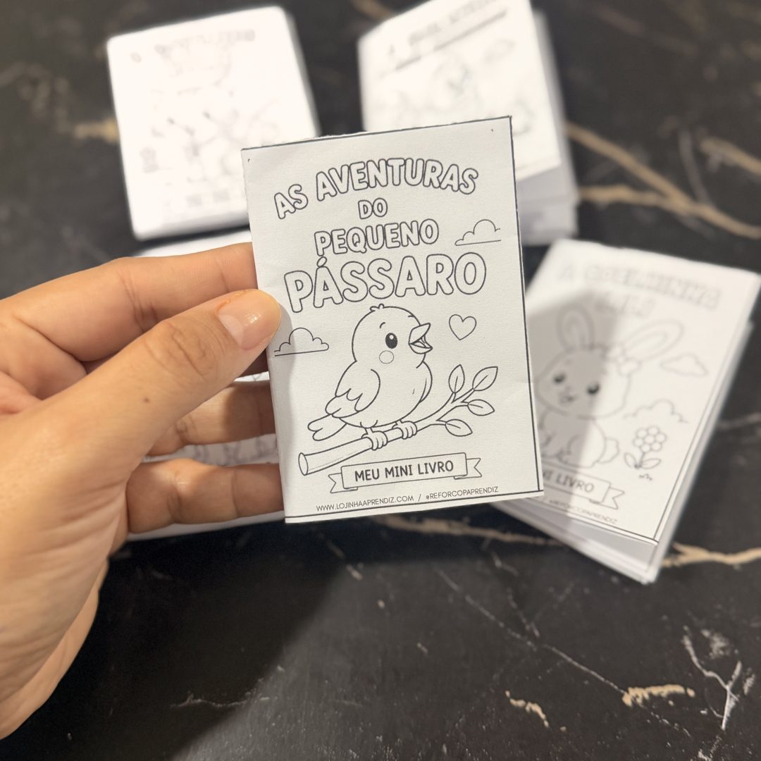 Mini livro